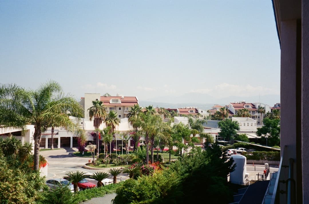 turkey